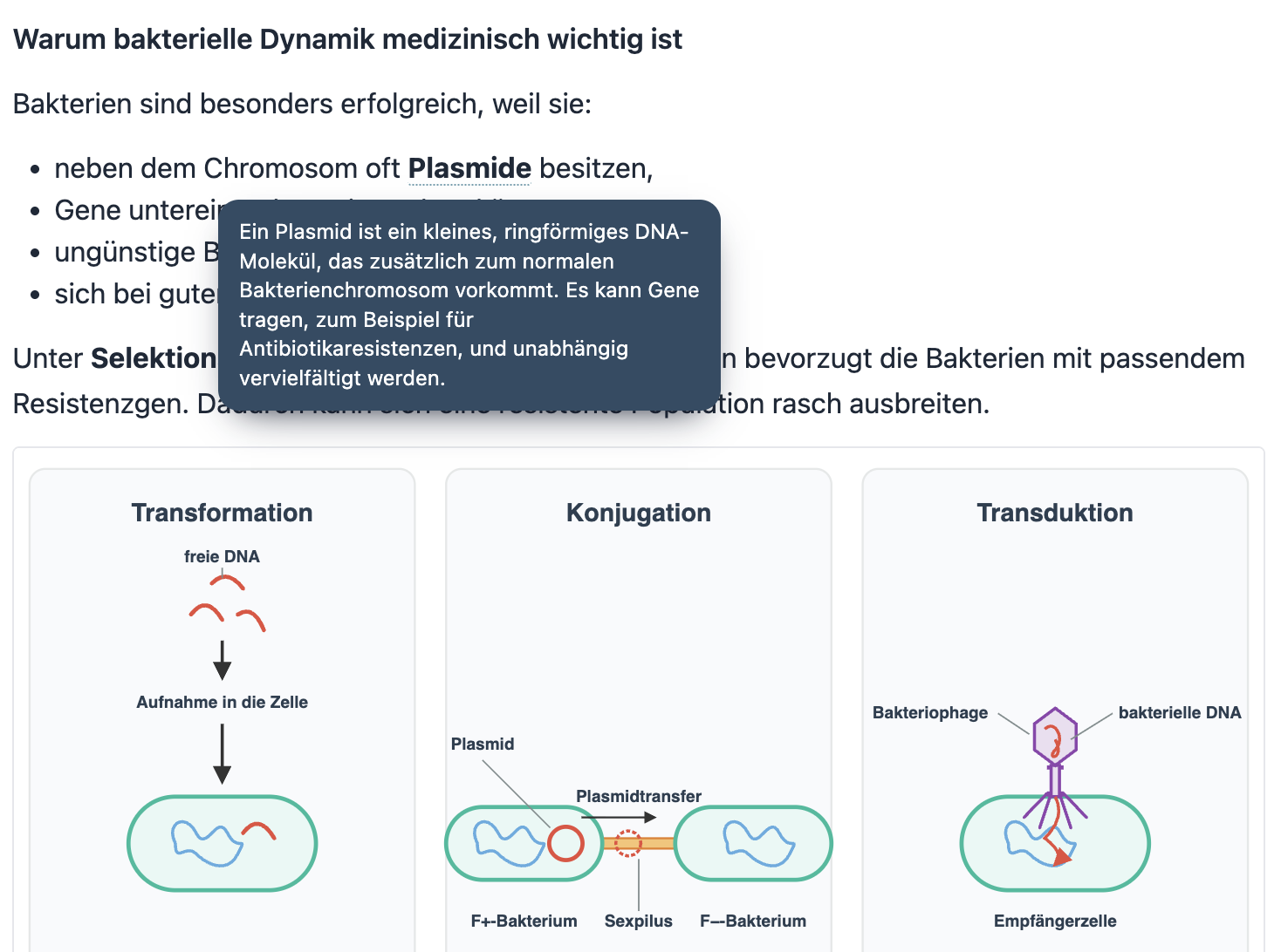 Glossar-Hinweis innerhalb einer Lernnotiz